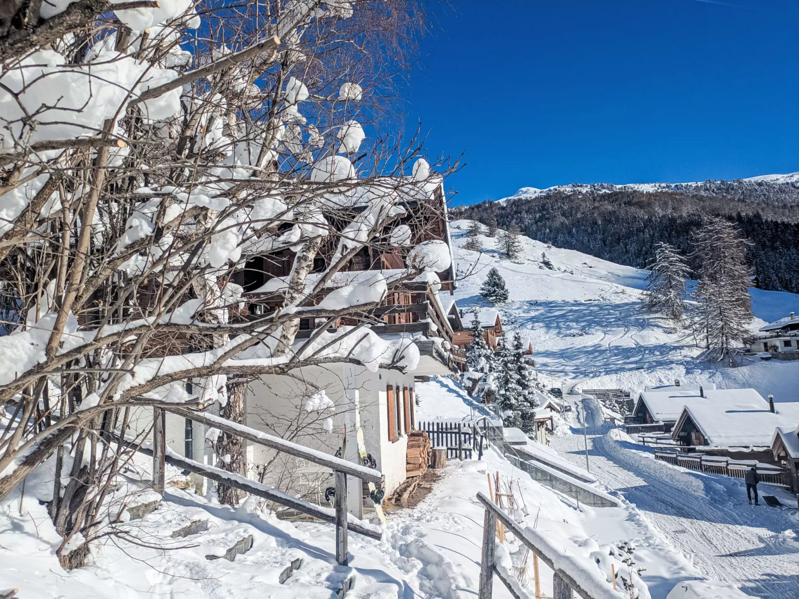 Chalet Le Griffon - Dehors