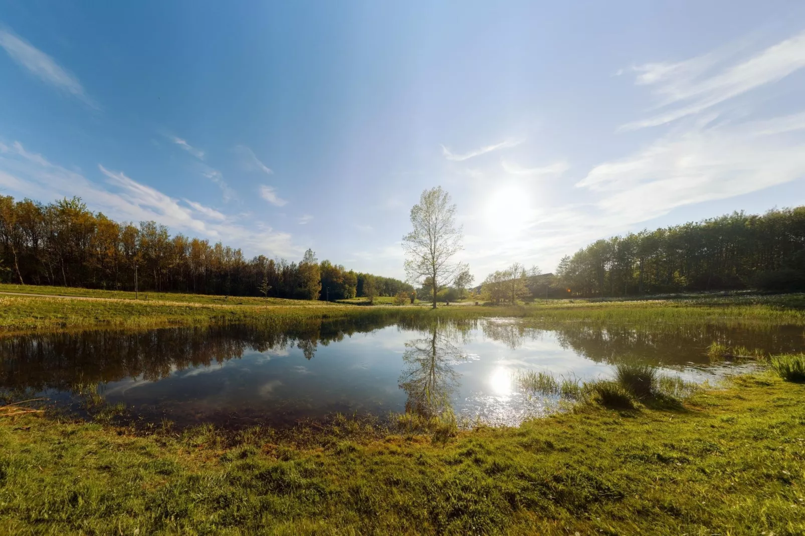 Jomfru Ane Standard Double - Areas within 5km in summer