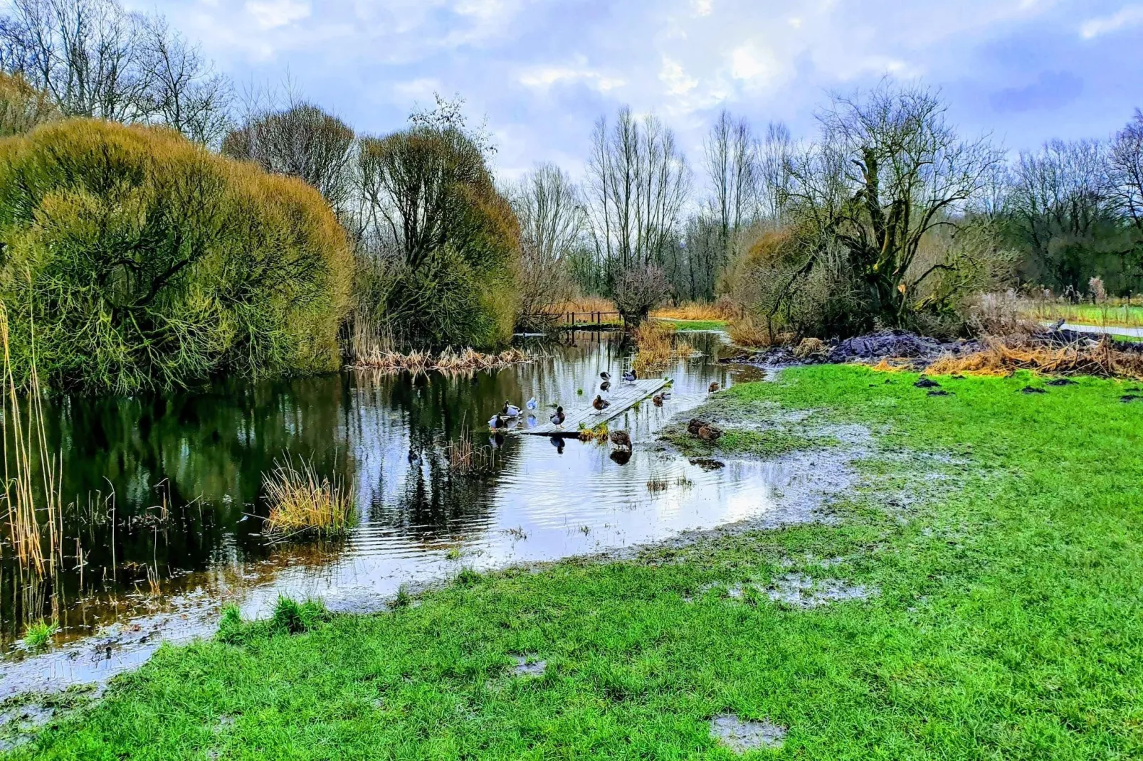 Jomfru Ane Premium Twin - Zones été à 5 km