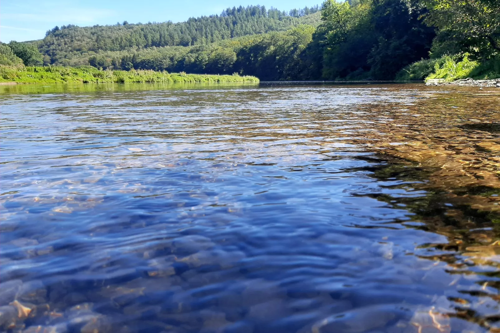 Au Coeur d'Alle Single Room - Areas within 5km in summer