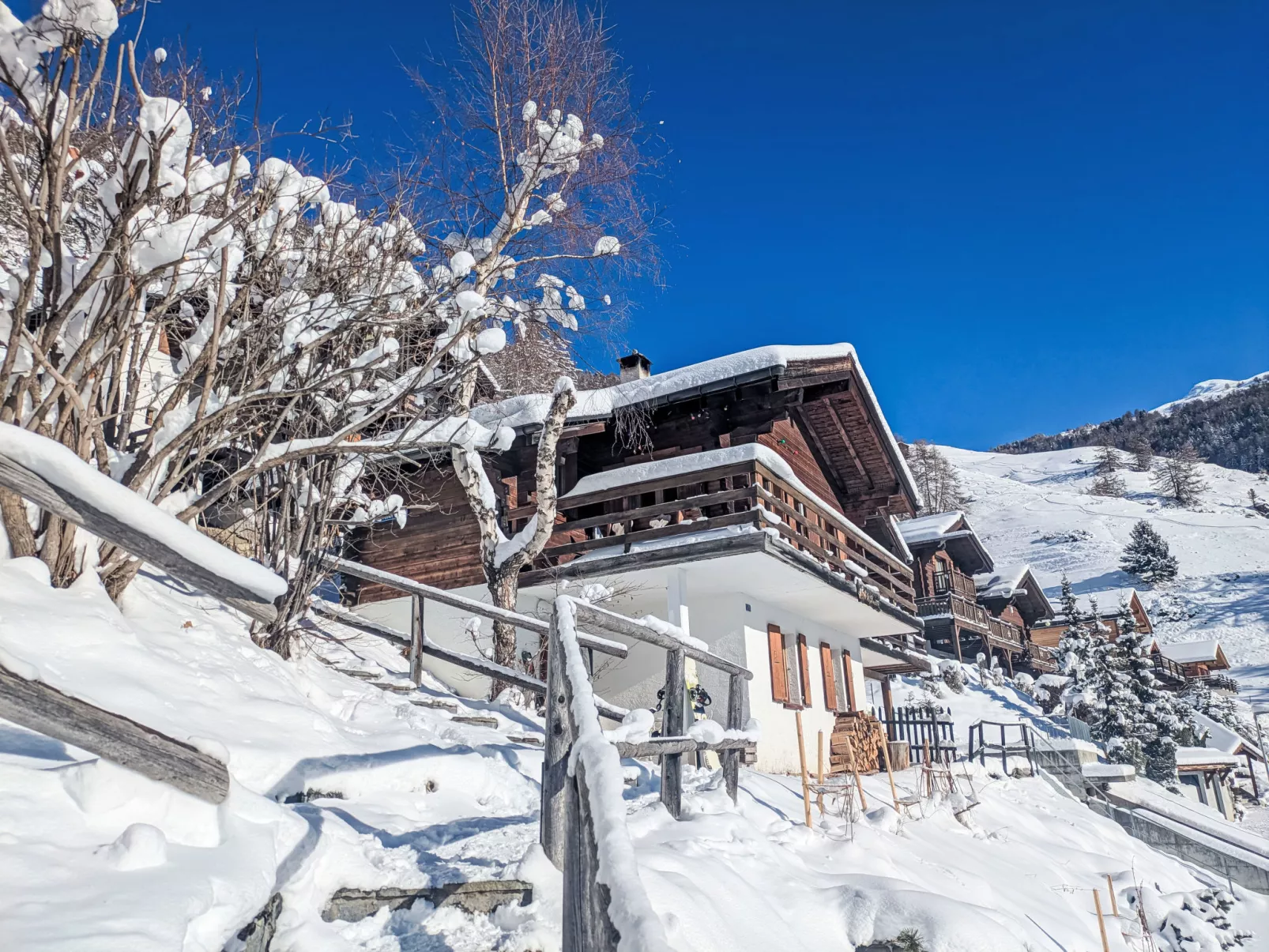 Chalet Le Griffon - Dehors