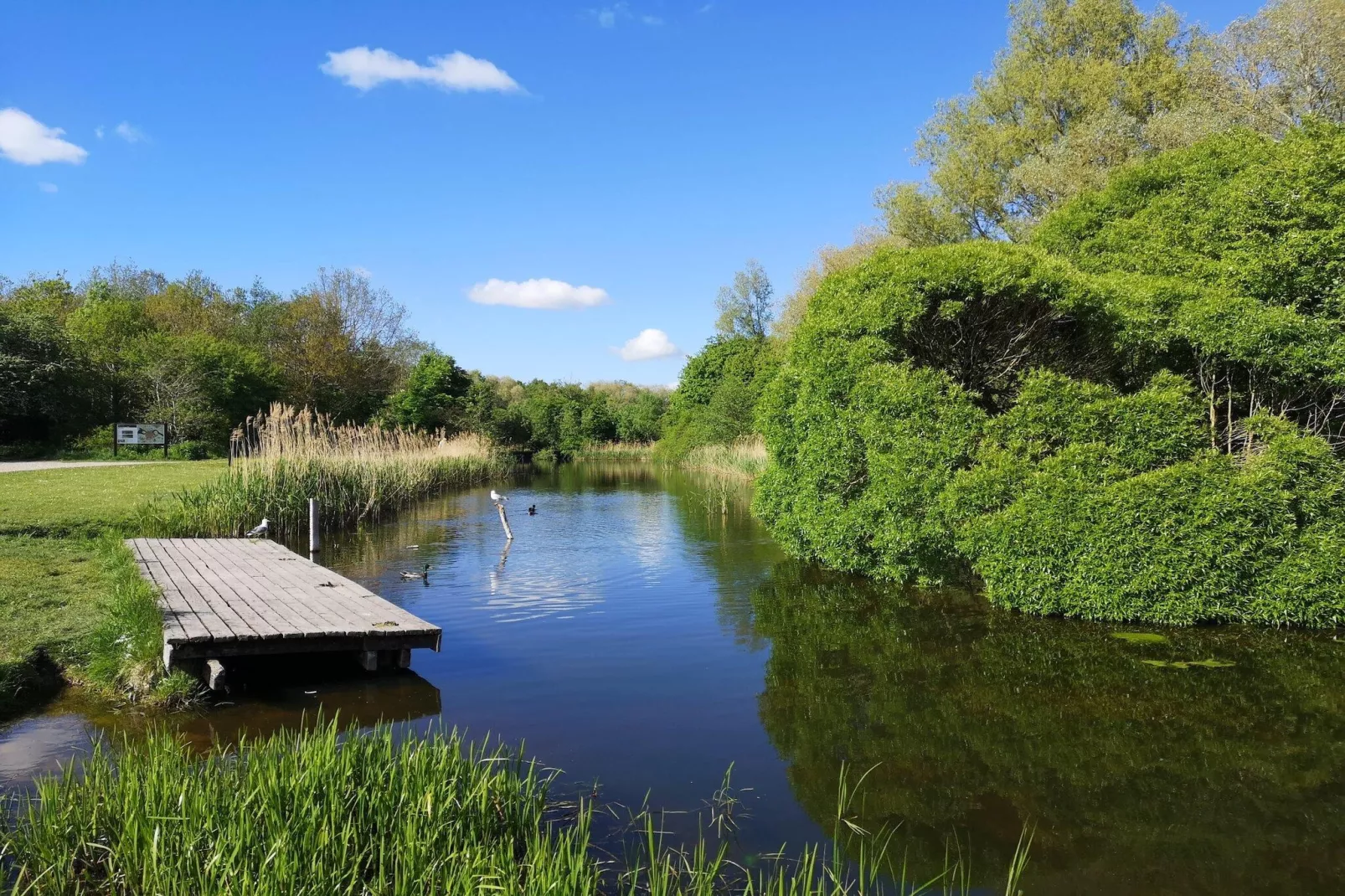 Jomfru Ane Premium Single - Zones été à 5 km