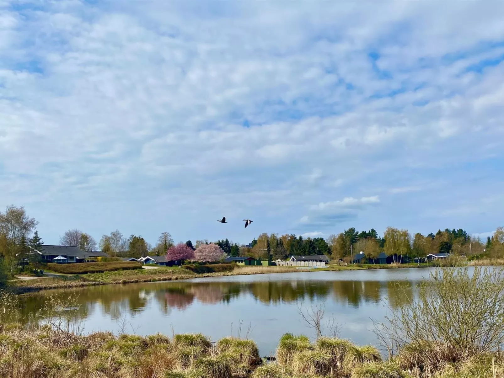 "Athisl" - 800m from the sea - Draußen