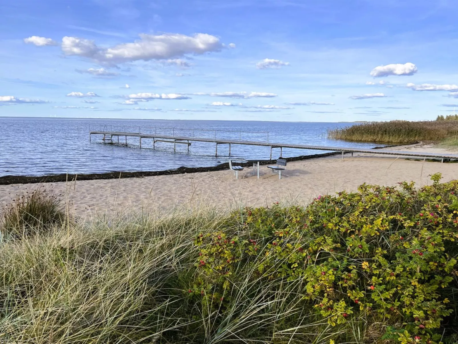 "Ronja" - 100m to the fjord - Draußen