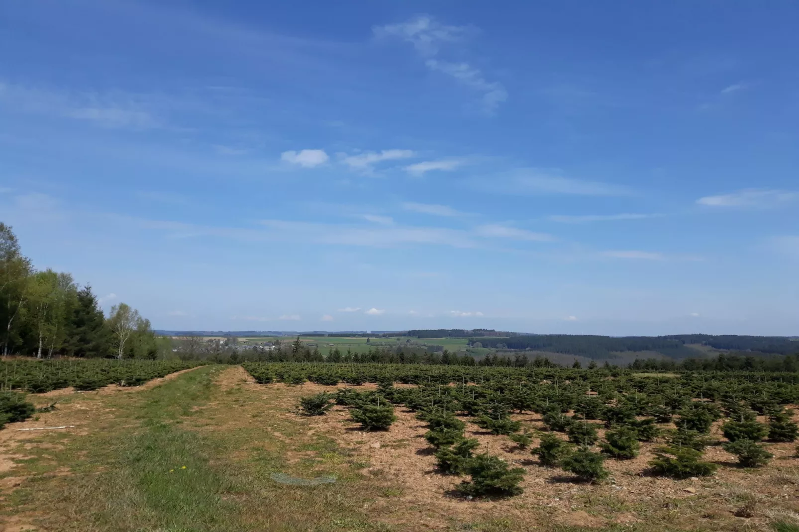 Au Coeur d'Alle Single Room - Areas within 5km in summer