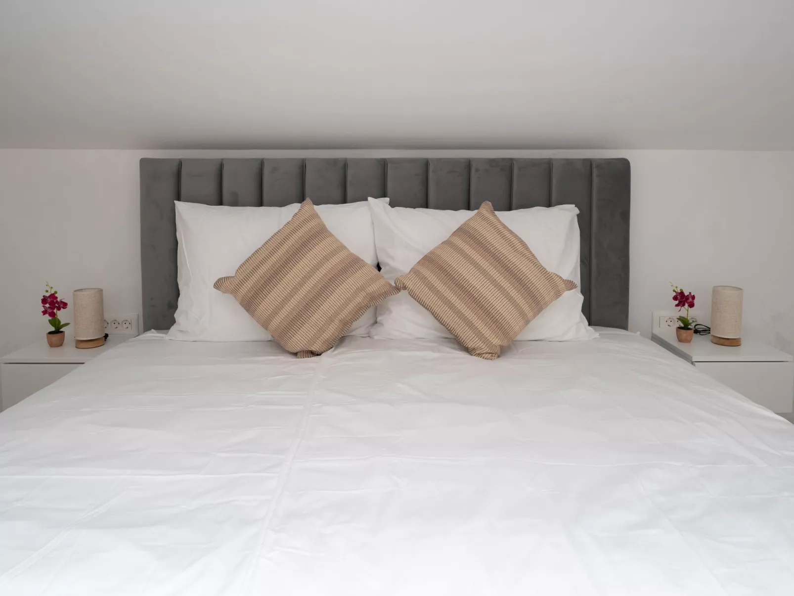 Mediterranee Oliva - Dedans