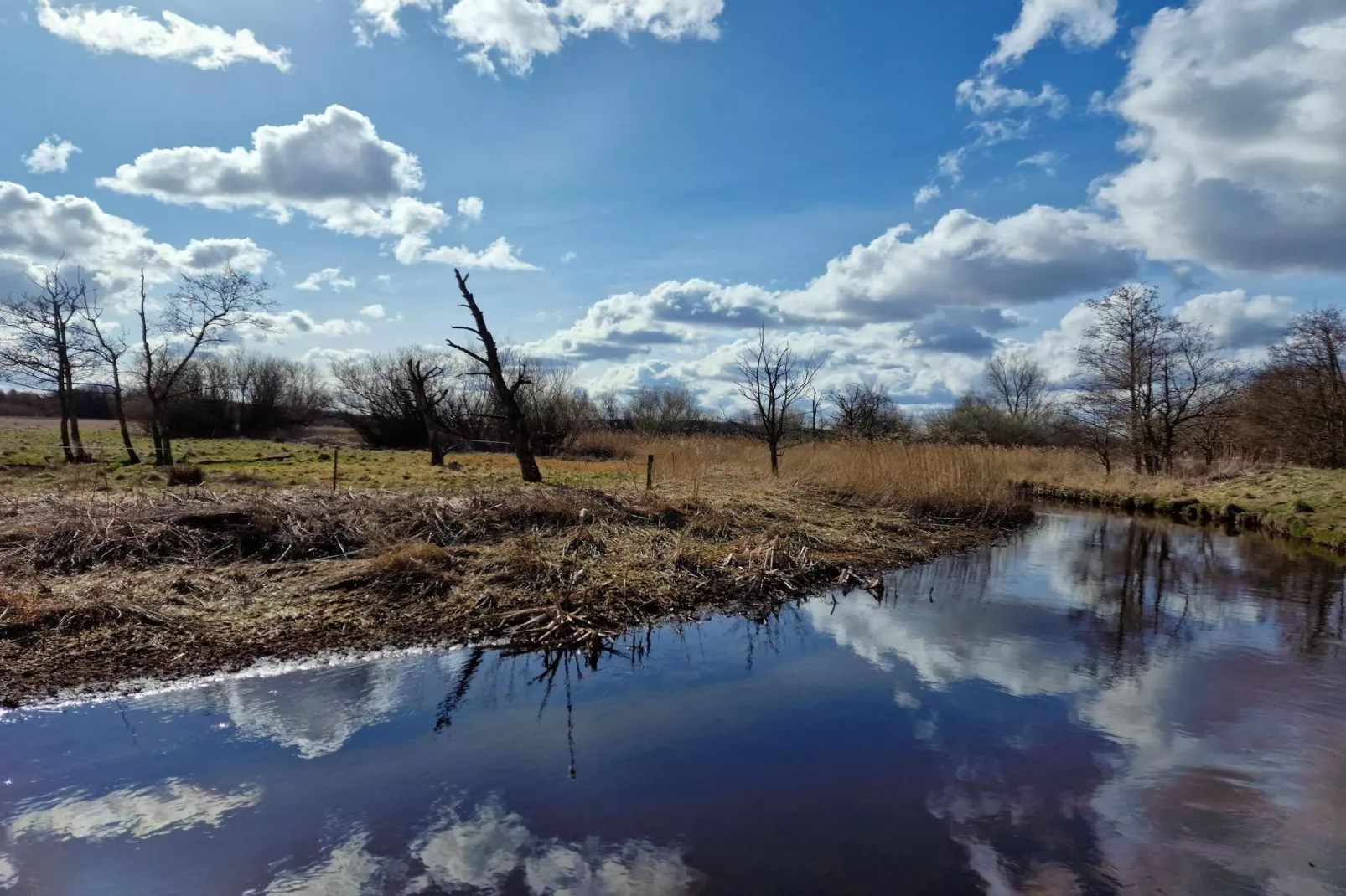 Jomfru Ane Standard Double - Areas within 5km in summer
