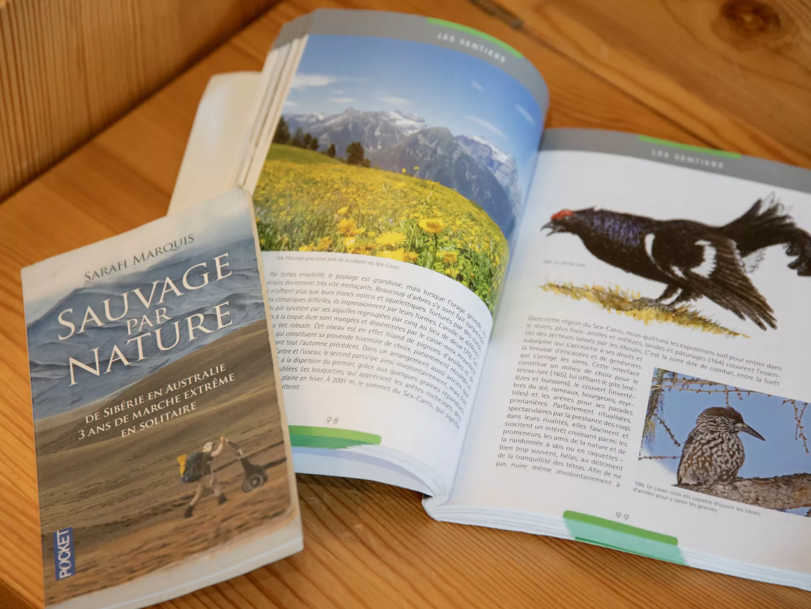 Centaure B RI 1 - Drinnen