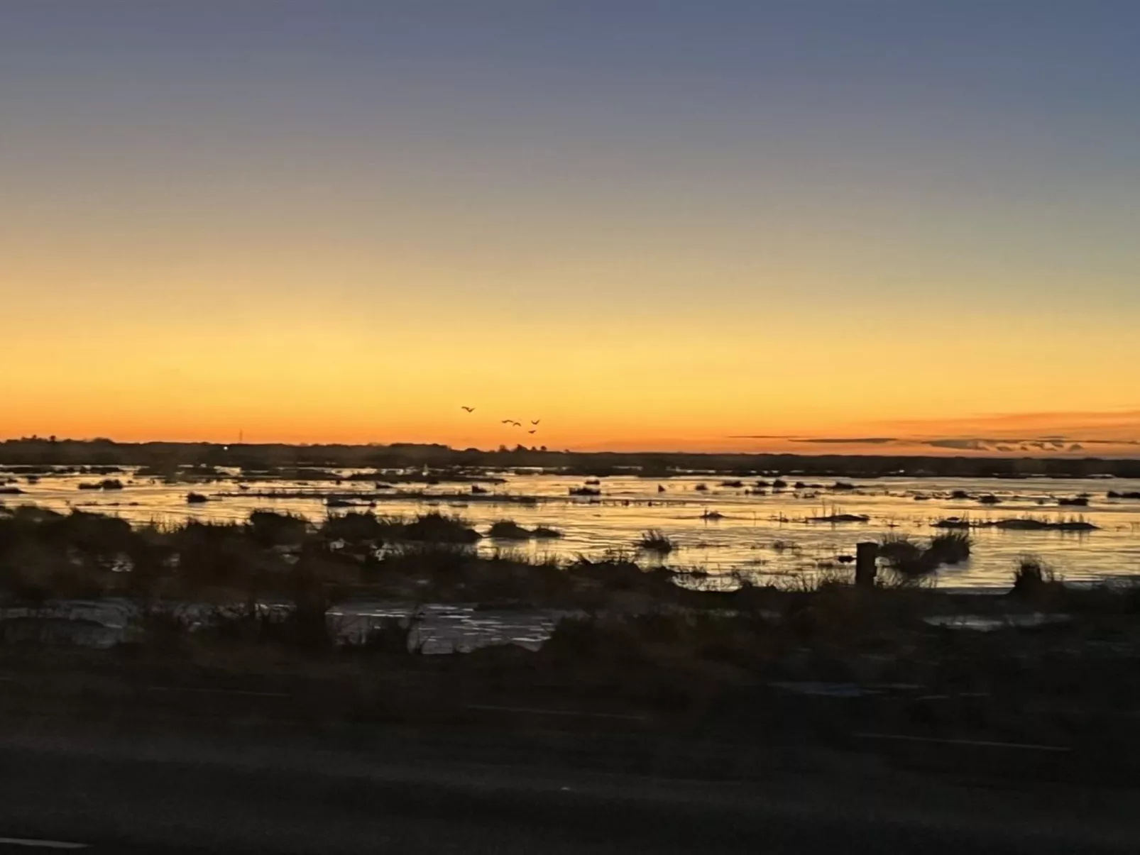 "Ronja" - 100m to the fjord - Draußen