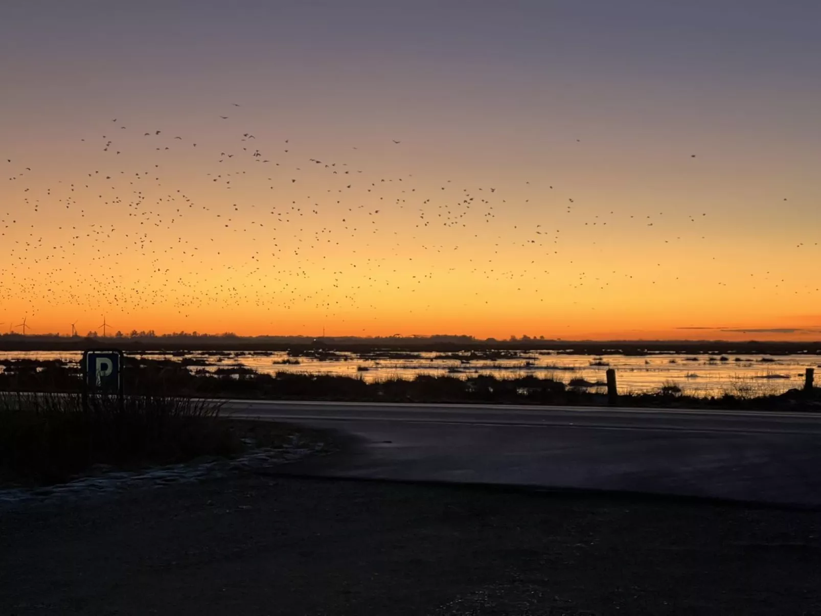 "Ronja" - 100m to the fjord - Draußen