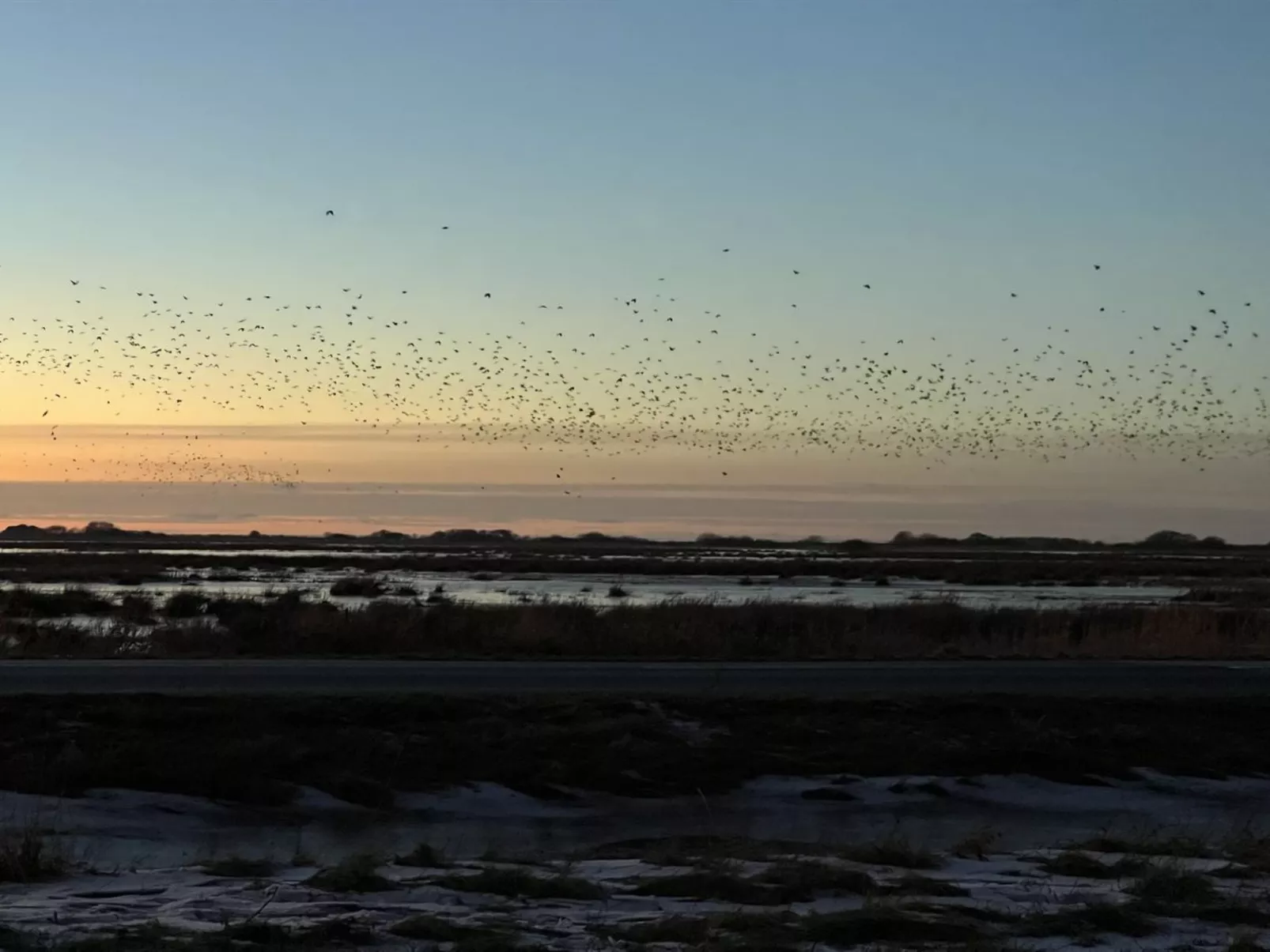 "Ronja" - 100m to the fjord - Draußen