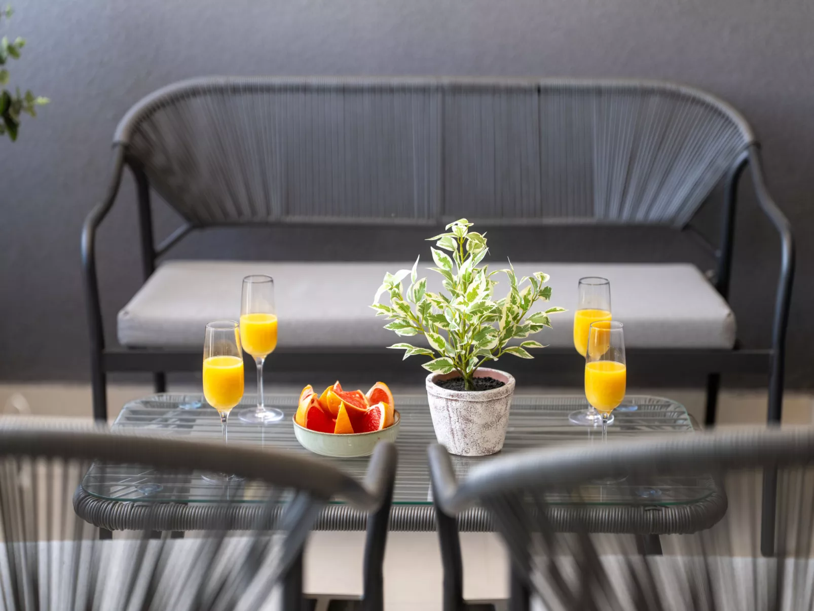 Mediterranee Oliva - Dehors