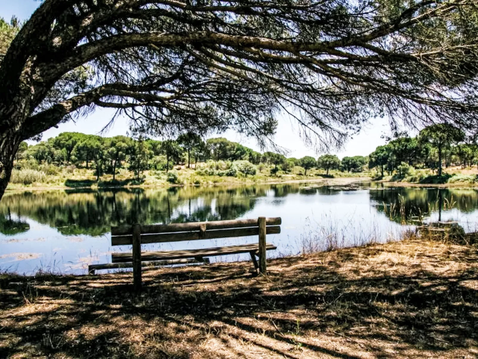 UA 26- Villa Princesa - Dehors