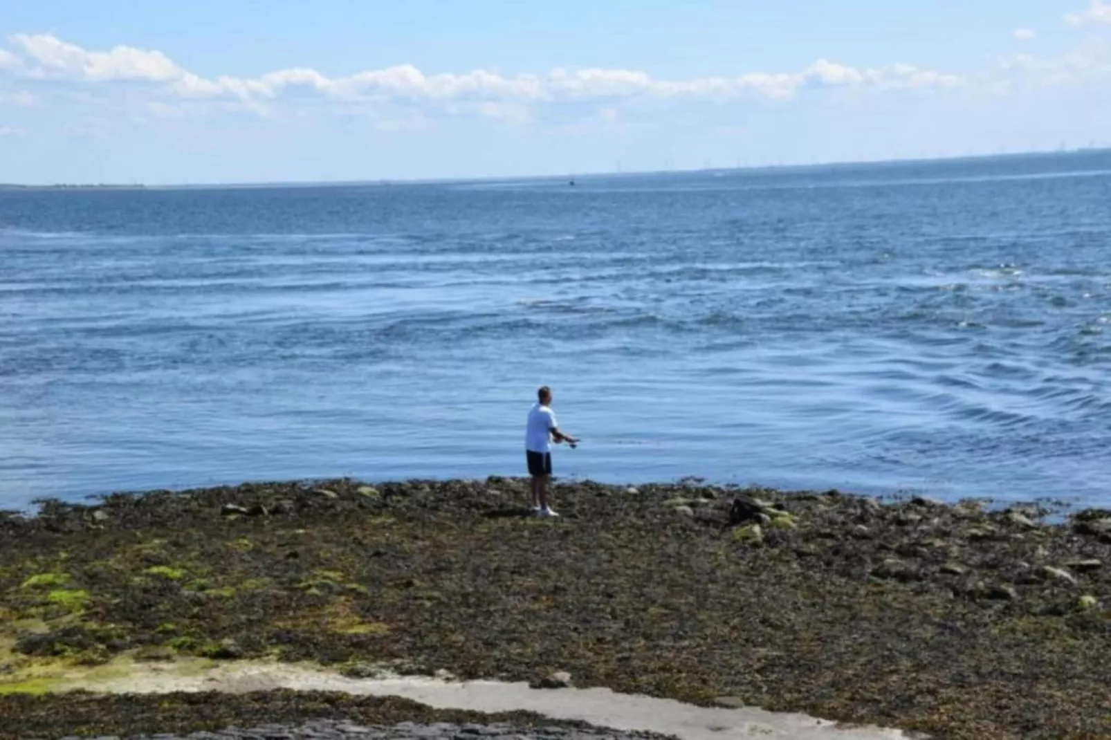 Resort Waterrijk Oesterdam 15 - Areas within 20km in summer