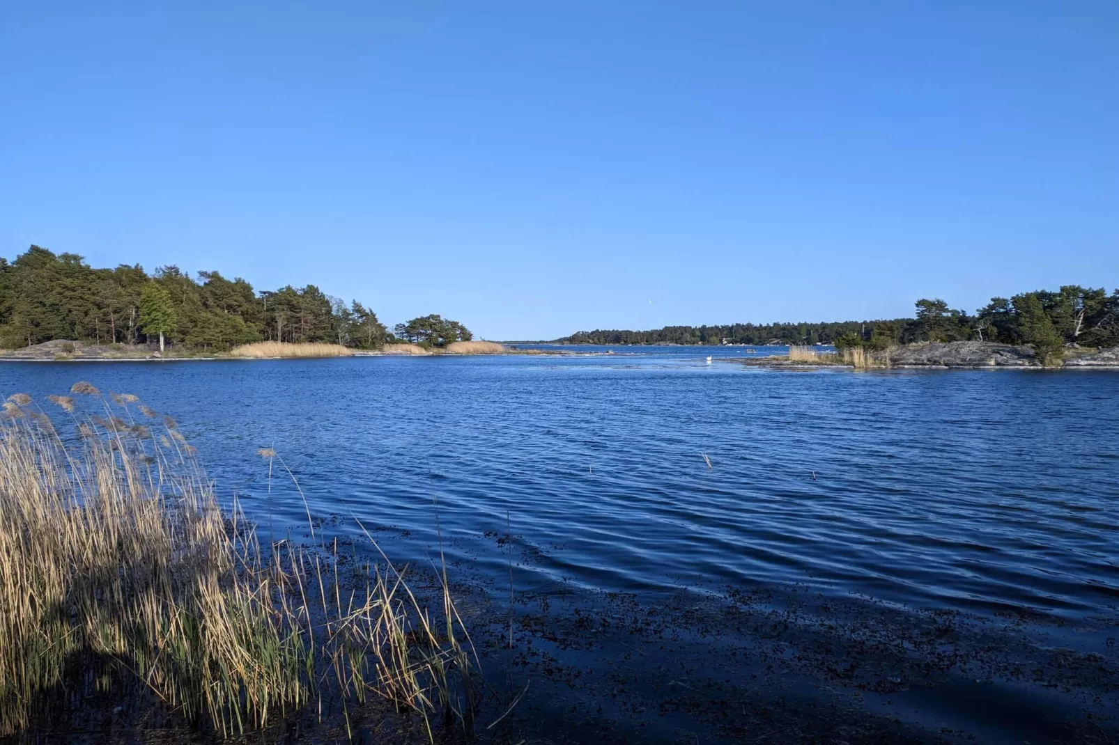 6 Personen Ferienhaus in Djurhamn - Wasserblick