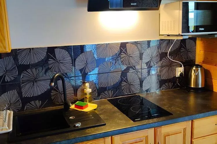 Domki wakacyjne Przewloka-Kitchen