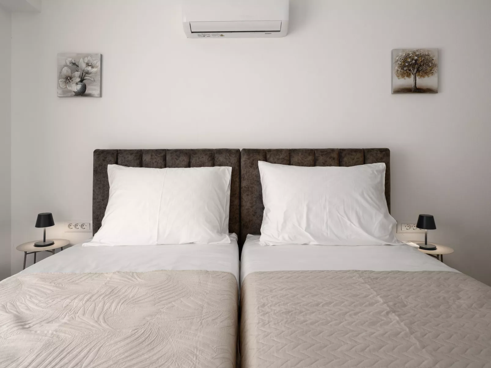 Mediterranee Oliva - Inside