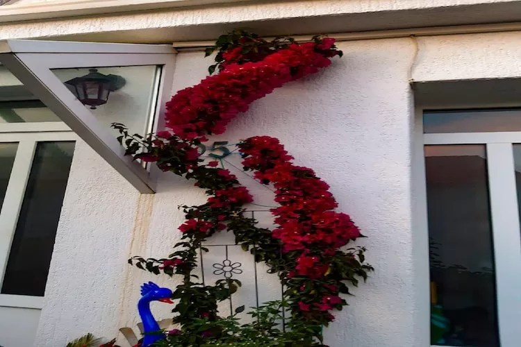 Apartments Snjezana - One Bedroom Apartment with Balcony and Sea View A1 - Outdoor