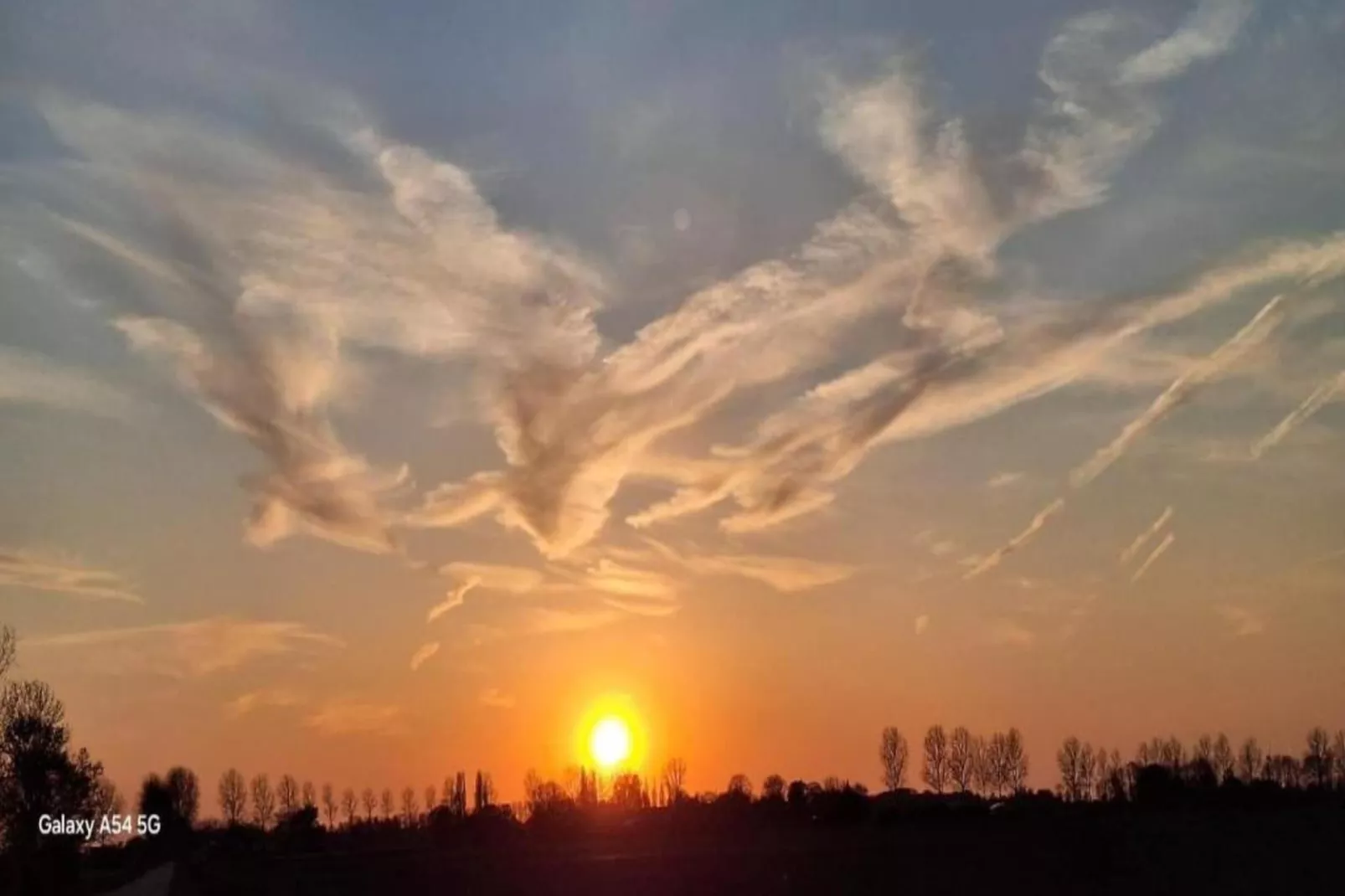 Resort Waterrijk Oesterdam 15 - Areas within 20km in summer