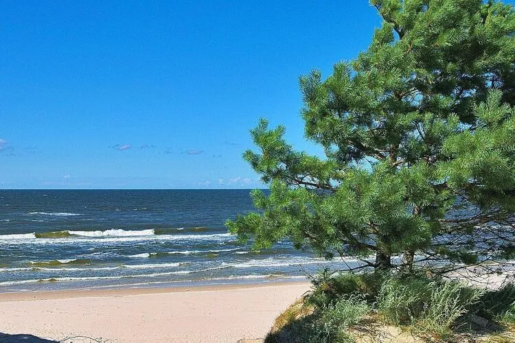 Domki wakacyjne Przewloka-Areas summer 1km