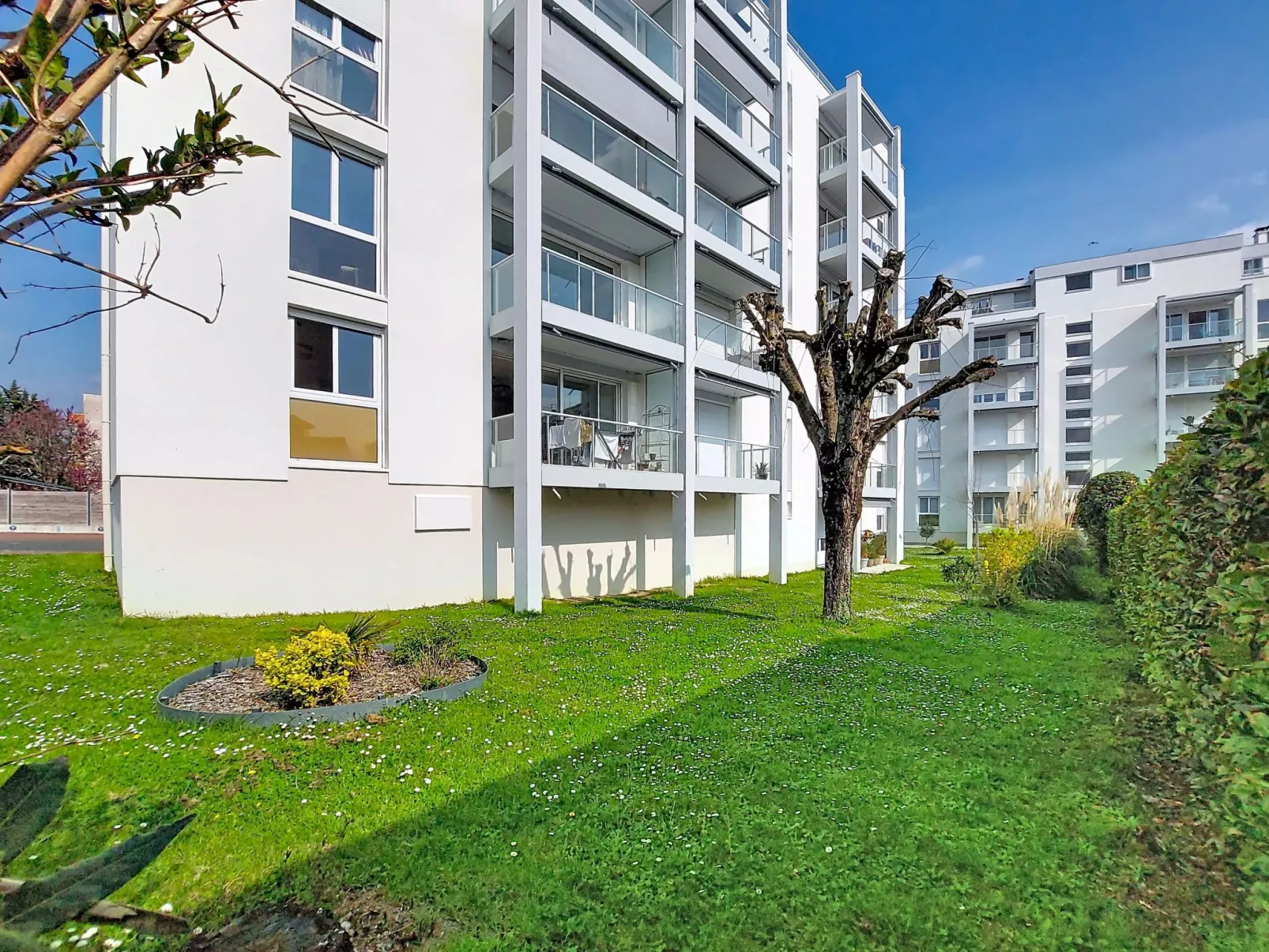 Le Colibri - Outside