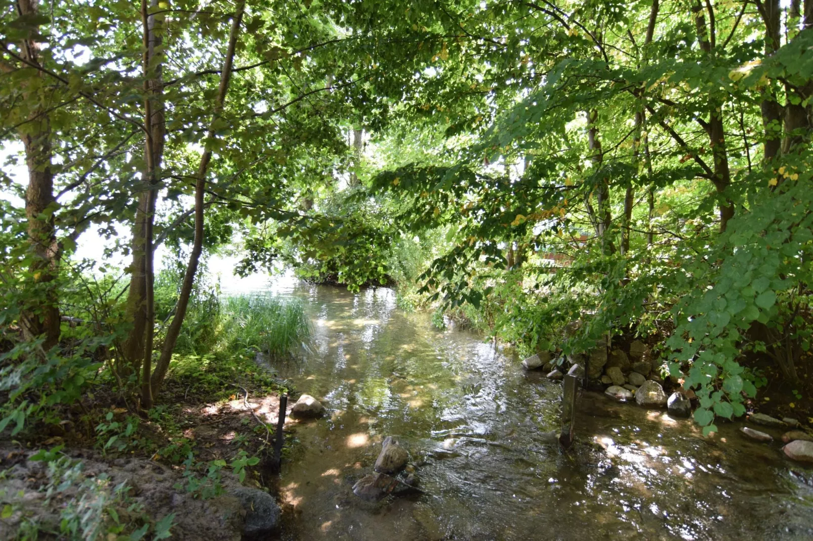 Holiday home in Frydrychowo-Areas summer 1km