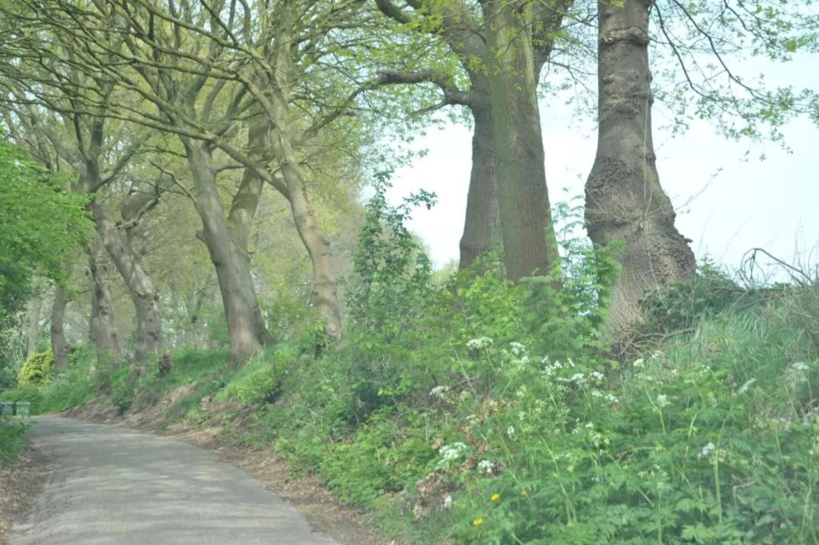 Resort Waterrijk Oesterdam 8 - Gebiete Sommer 20 km