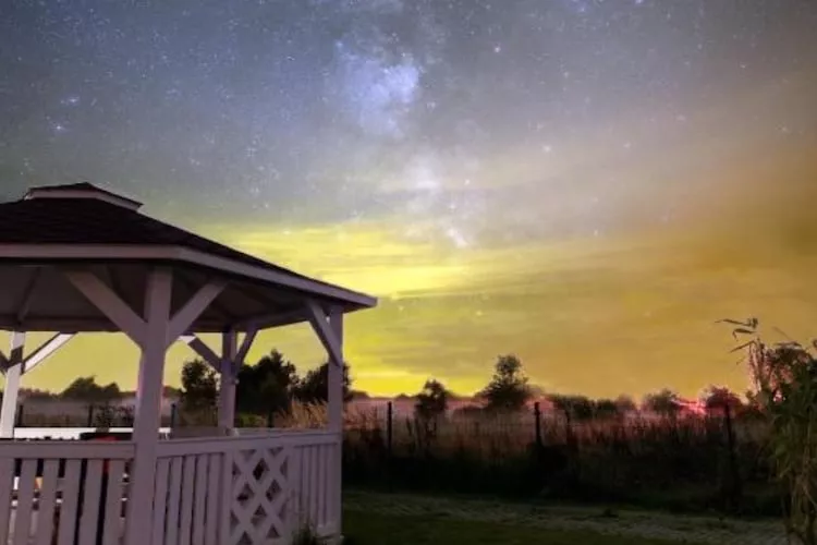 Domy wakacyjne i apartamenty w Niechorzu - Gardens in summer