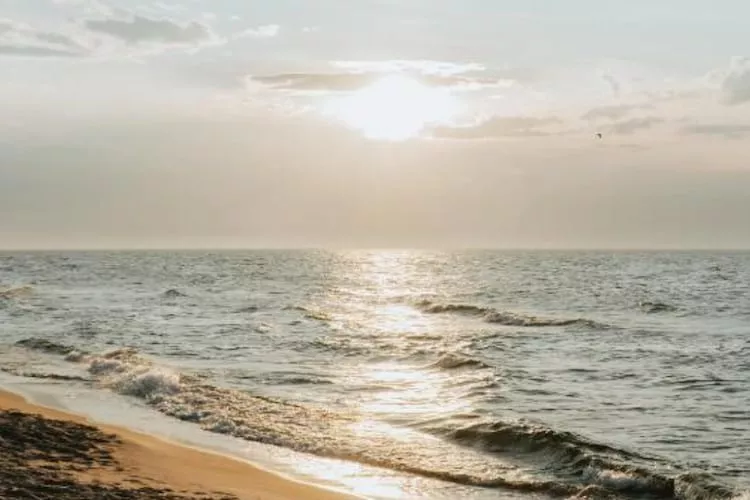 Domy wakacyjne i apartamenty w Niechorzu - Gebiete Sommer 1 km