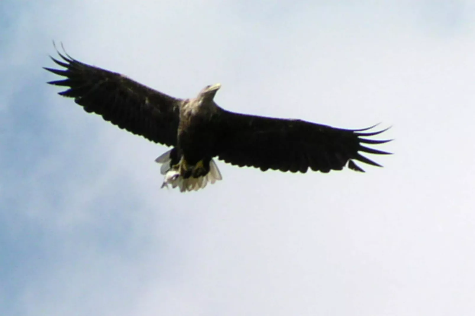 Bungalow 2 SZ 4 P - Installations du parc