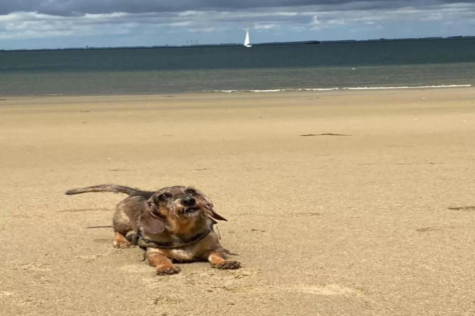 Resort Waterrijk Oesterdam 15 - Areas within 20km in summer