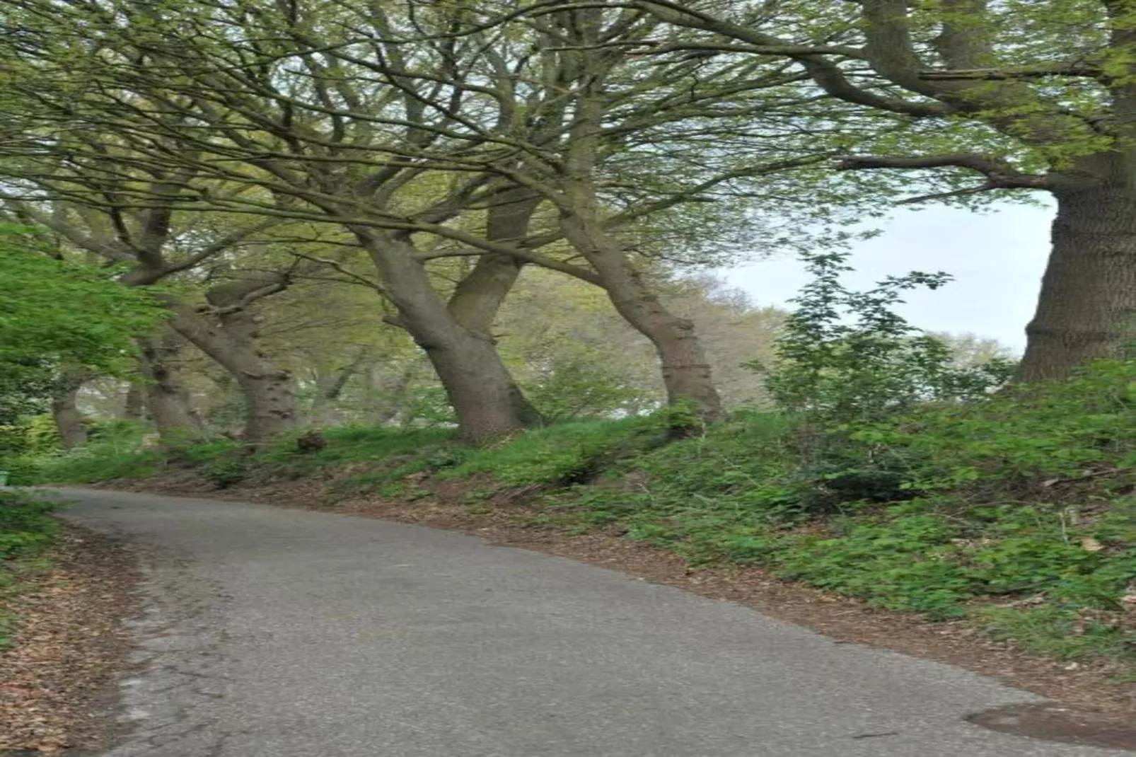 Resort Waterrijk Oesterdam 14 - Gebiete Sommer 20 km