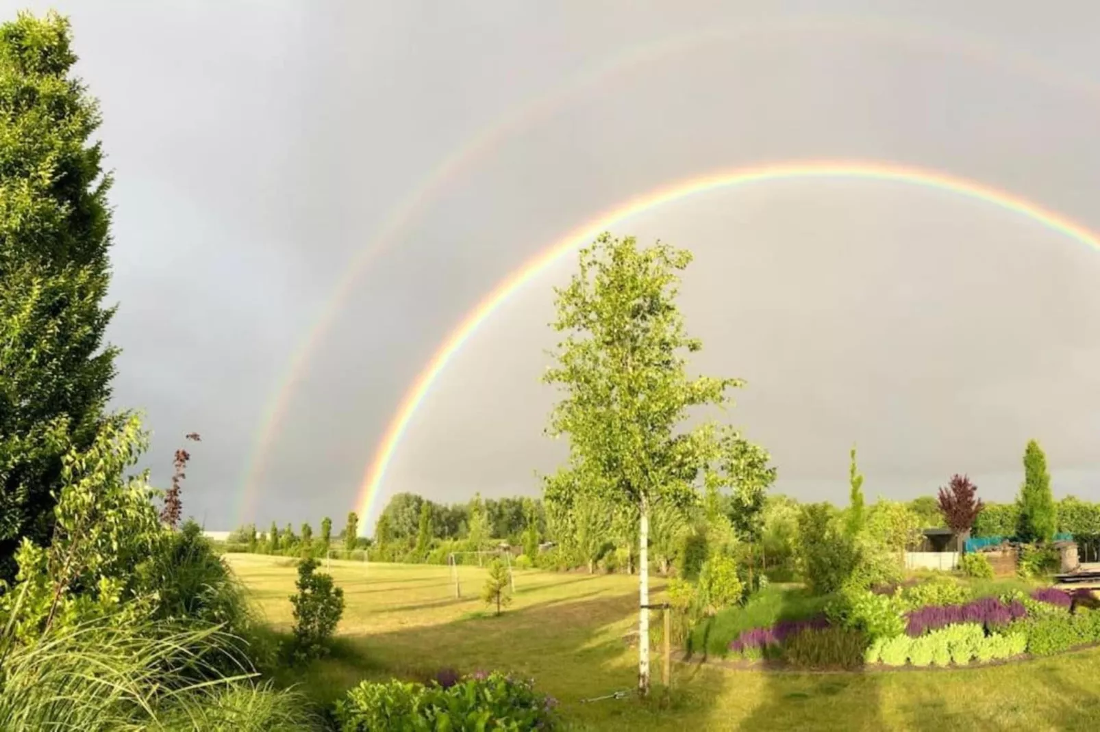 Resort Waterrijk Oesterdam 8 - Gebiete Sommer 20 km