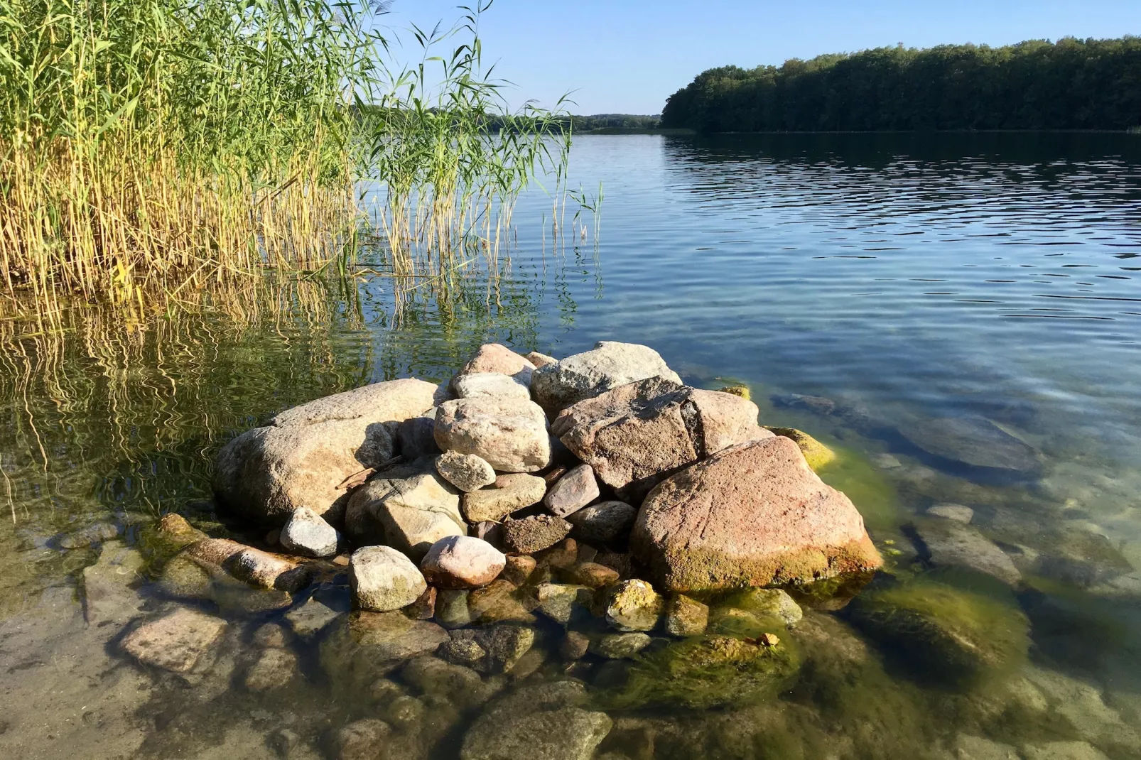 Wheelchair accessible Double Room - Zones été à 5 km