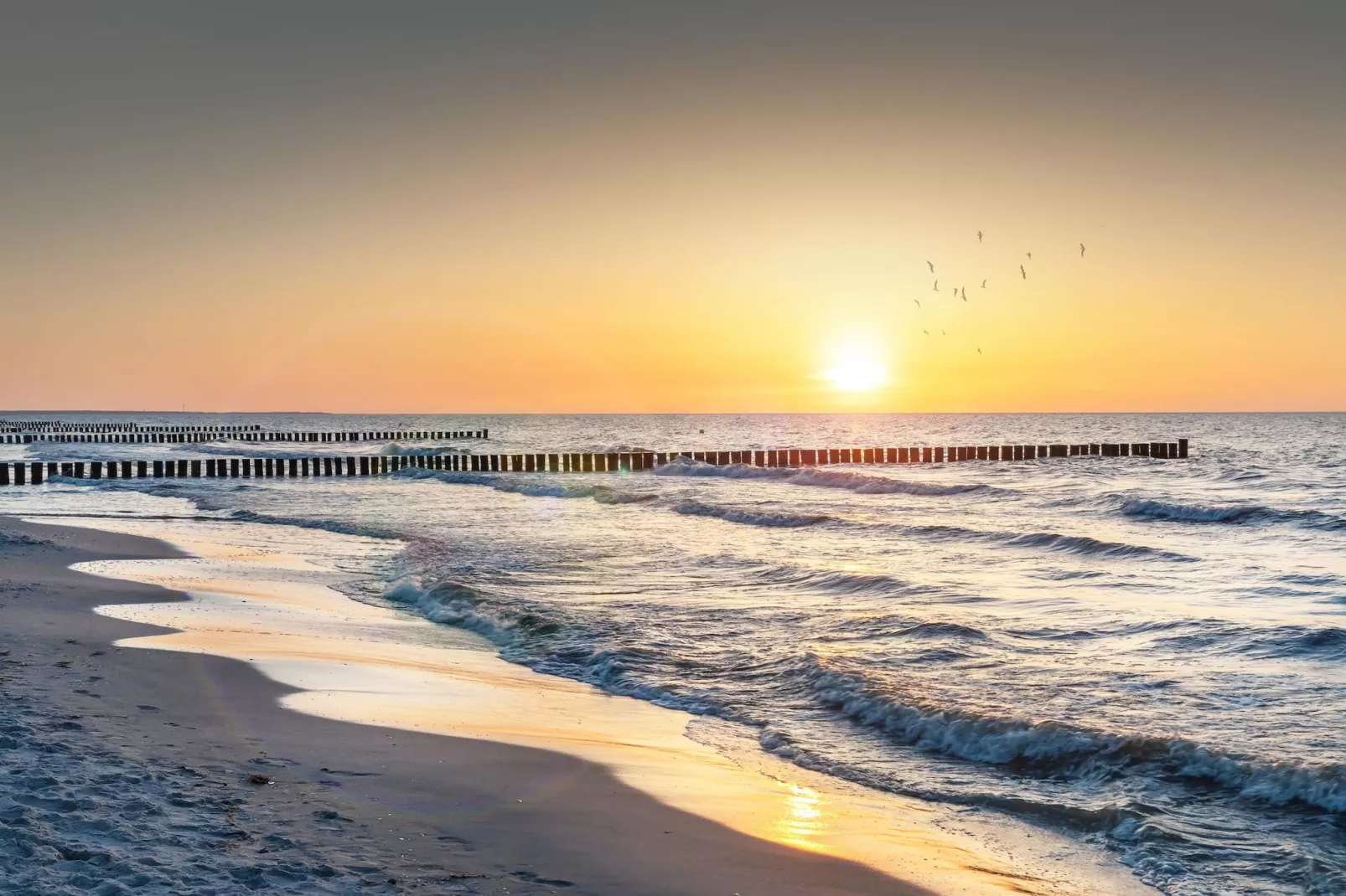 Rugen 2-bedroom suite 5 guest - Zones été à 5 km