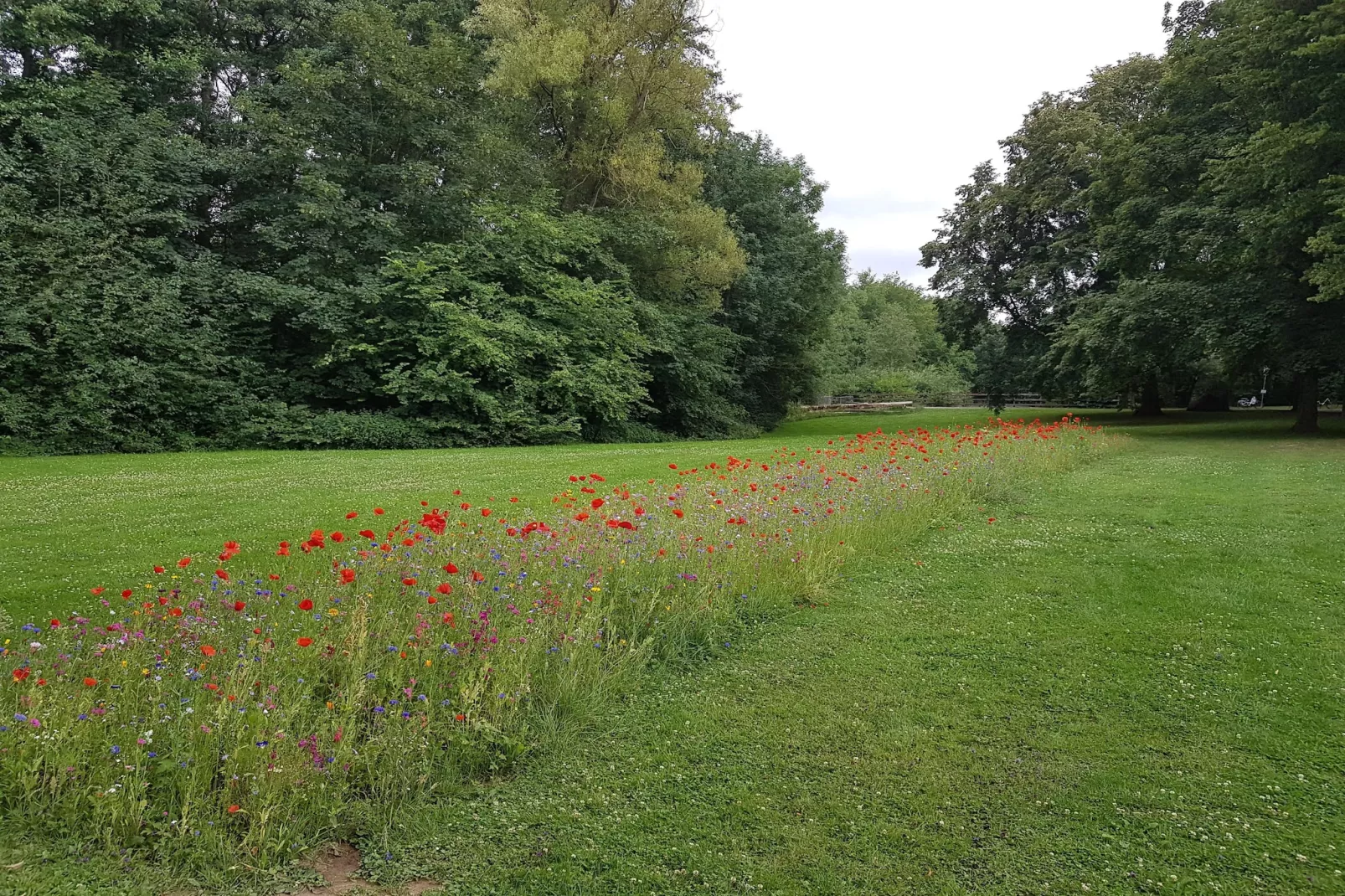 Mercure Hotel - Superior King Room - Gebiete Sommer 5 km