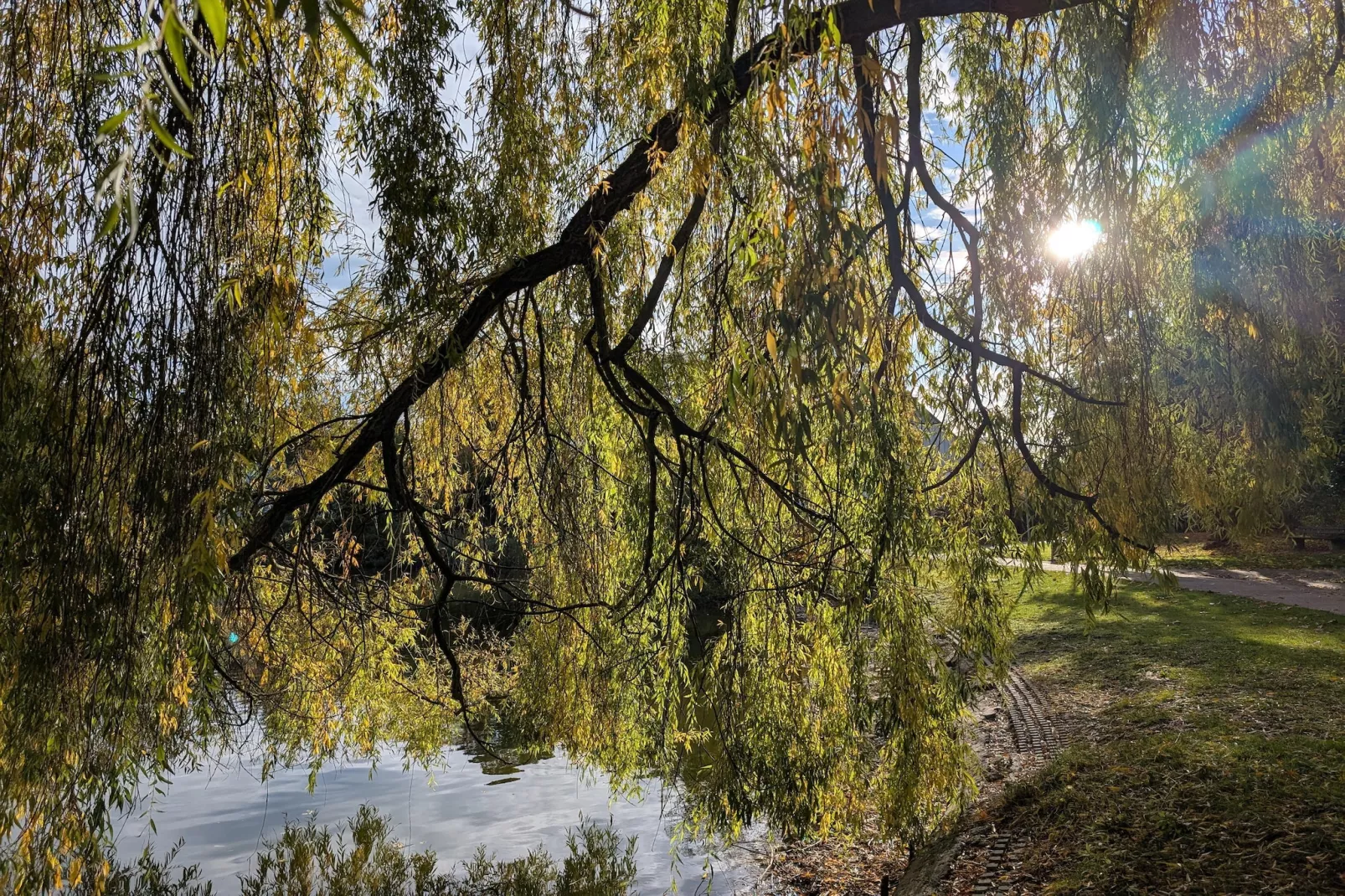 Mercure Hotel - Standard King Room - Areas within 5km in summer