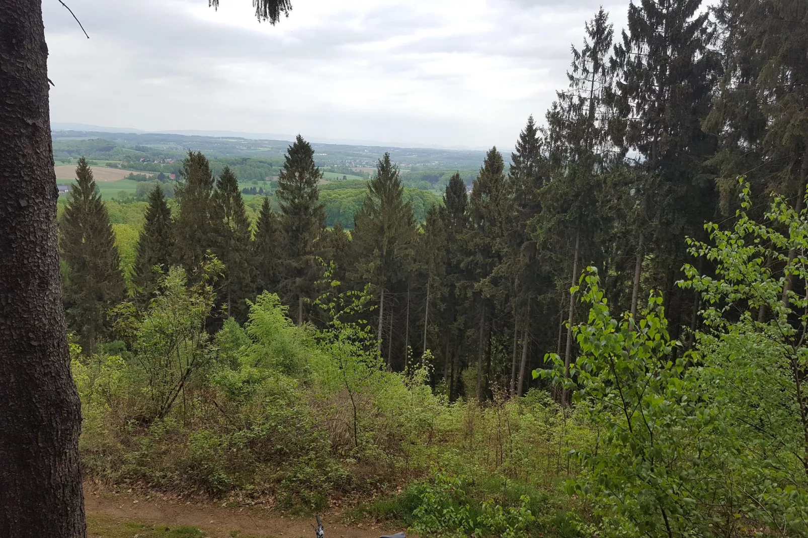 Mercure Hotel - Standard Twin Room - Gebiete Sommer 5 km