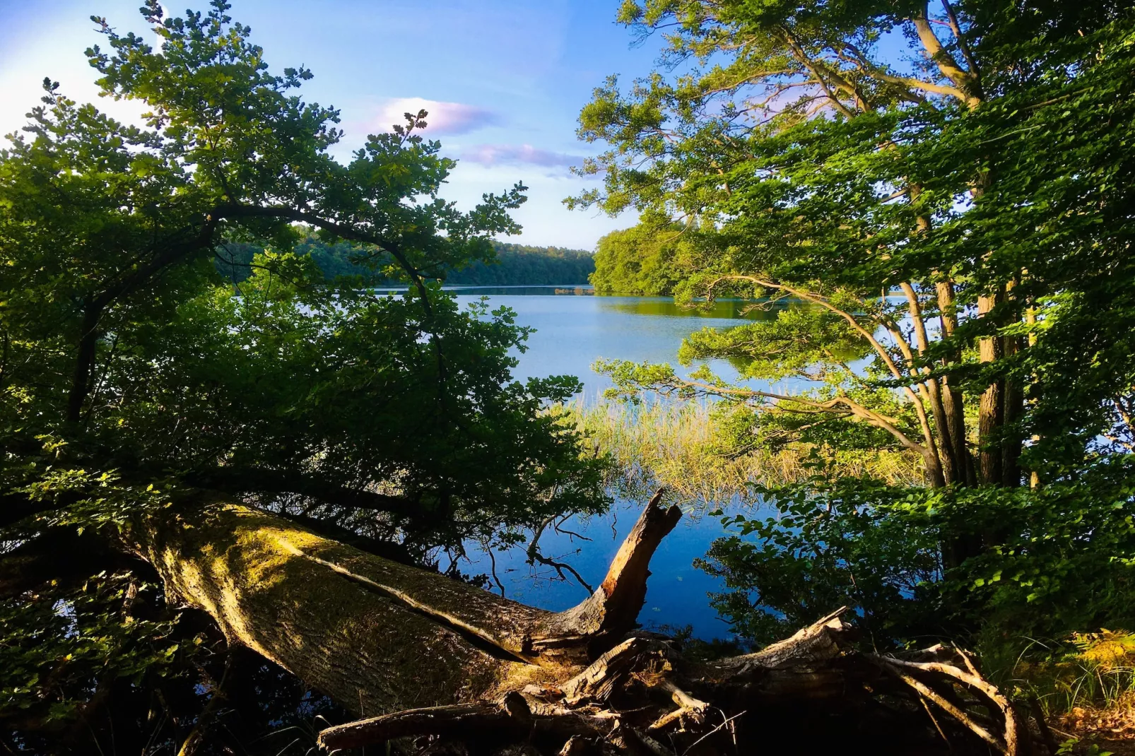 Standard Double Room - Zones été à 5 km