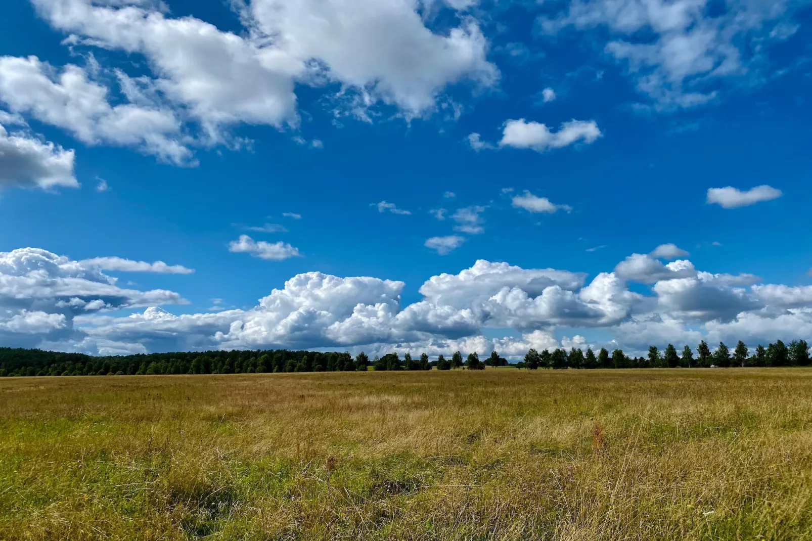 Single Room - Zones été à 5 km