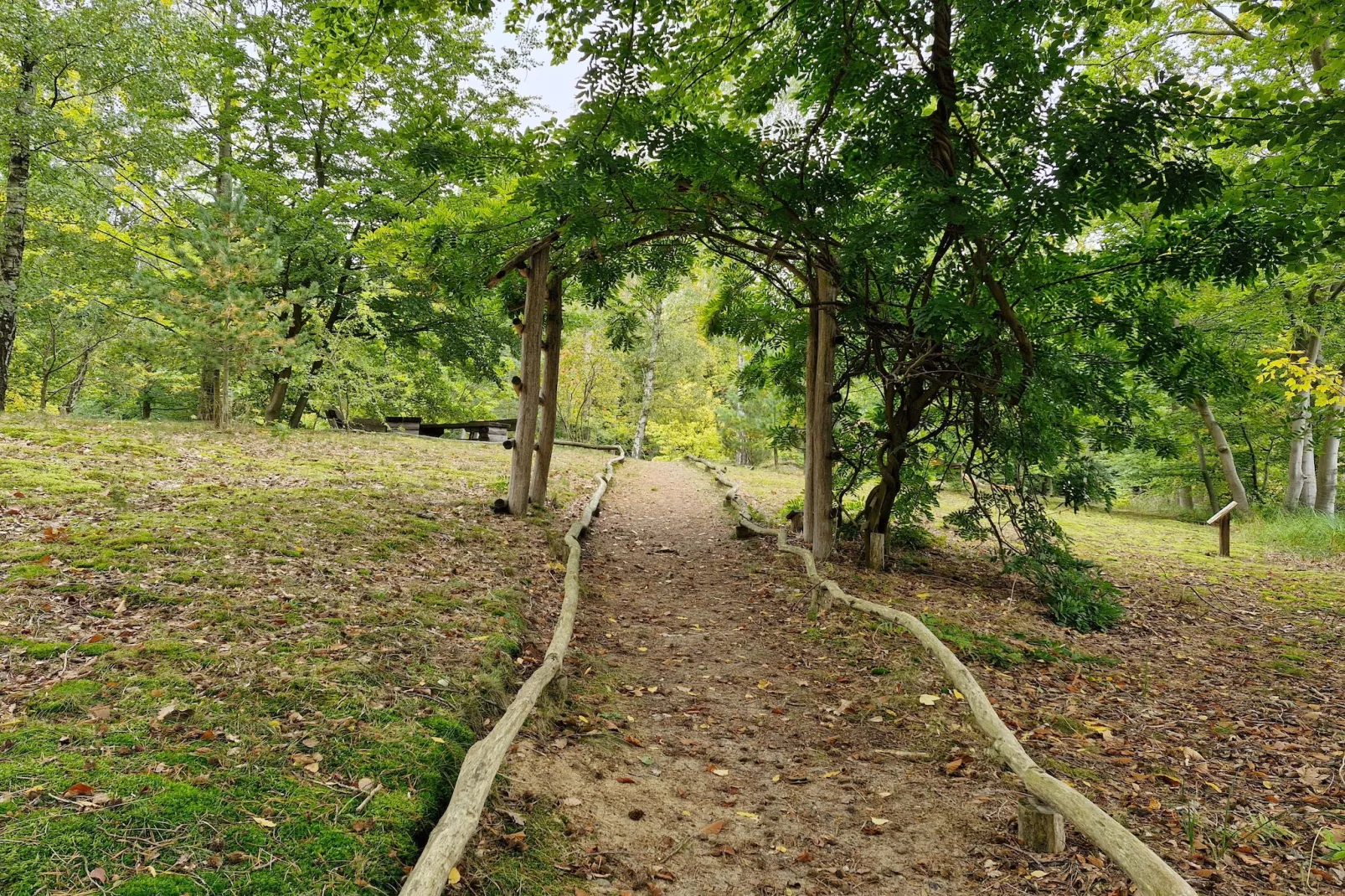 Hafendorf Suite - Areas within 5km in summer