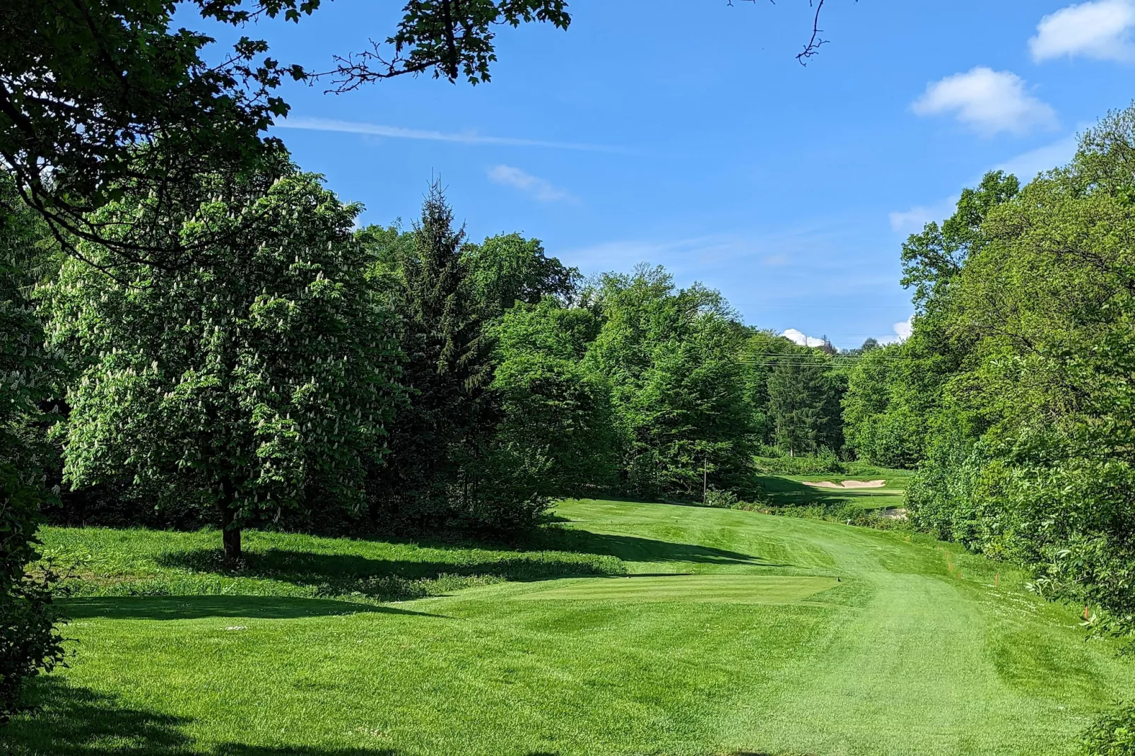 Mercure Hotel - Standard King Room - Areas within 5km in summer