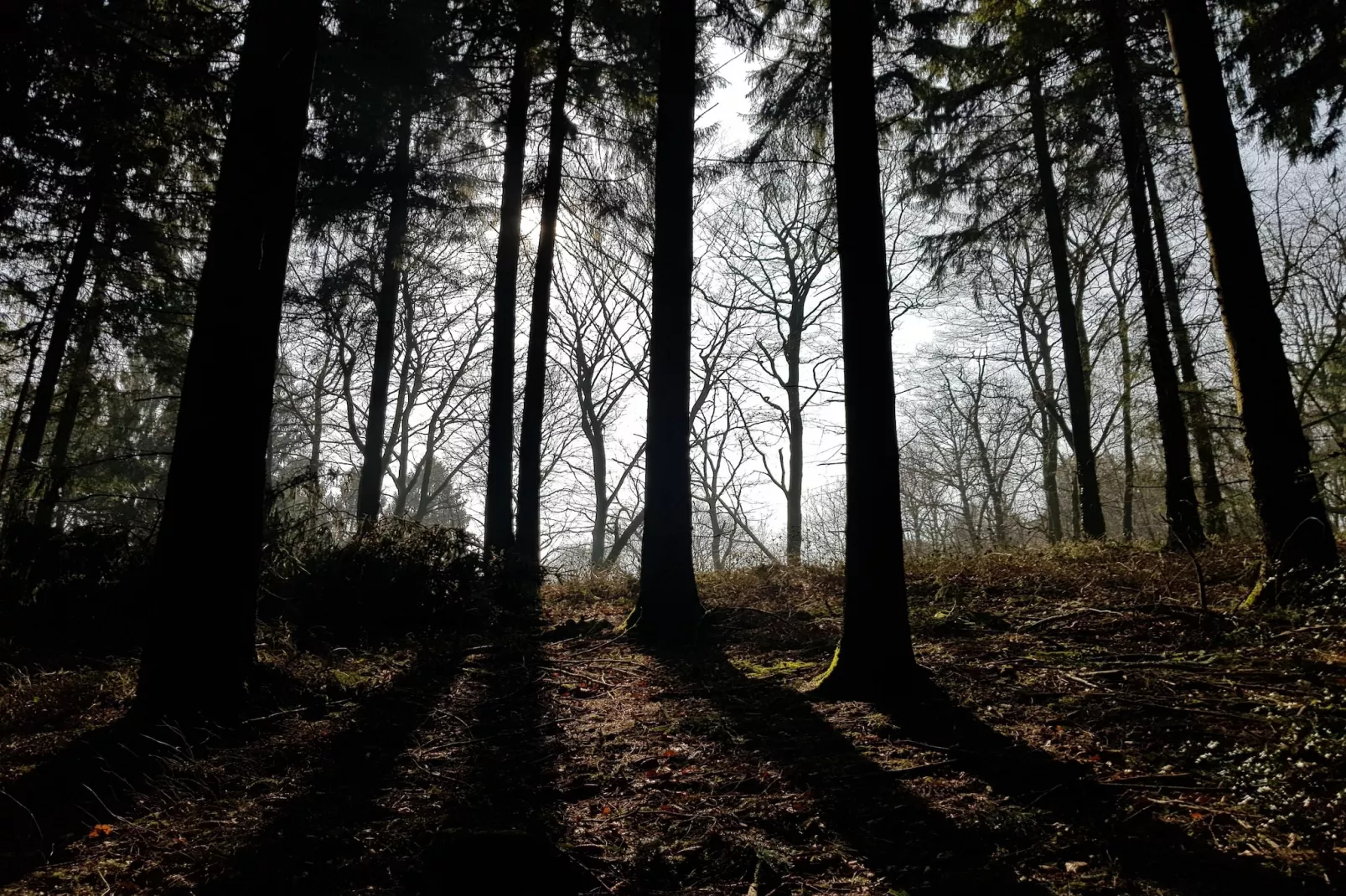 Mercure Hotel - Standard Twin Room - Gebiete Sommer 5 km