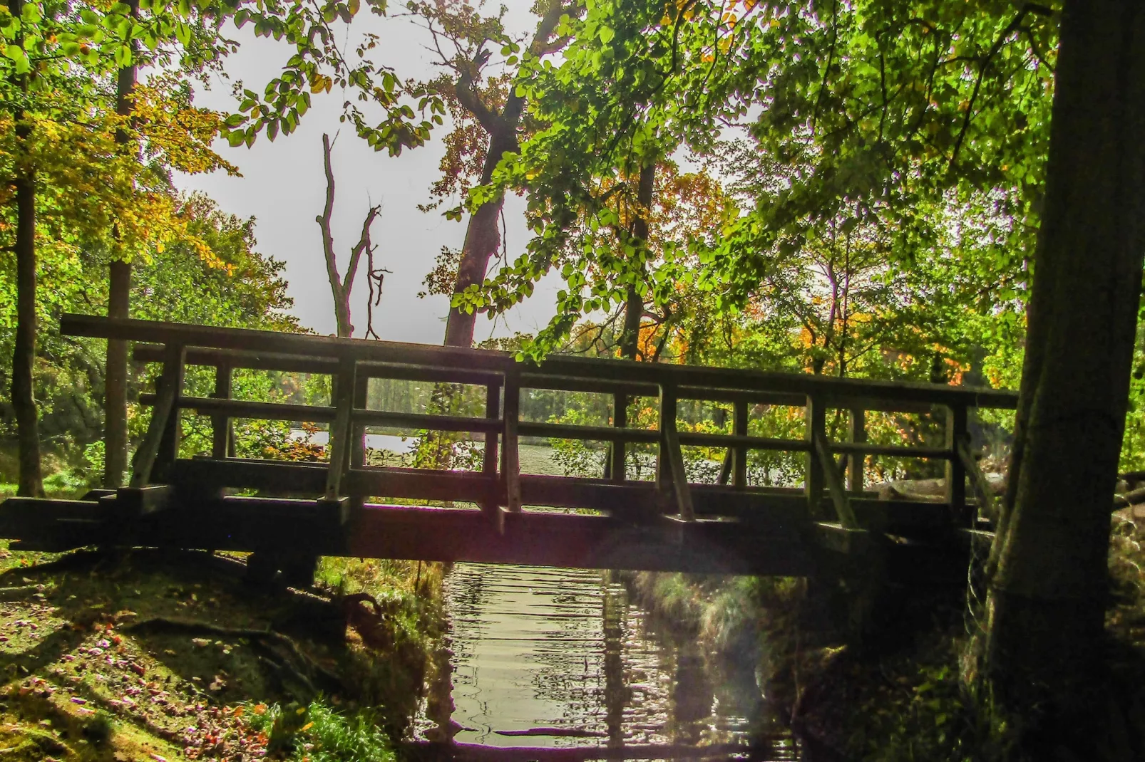 Hafendorf Classic Double Room with view - Areas within 5km in summer