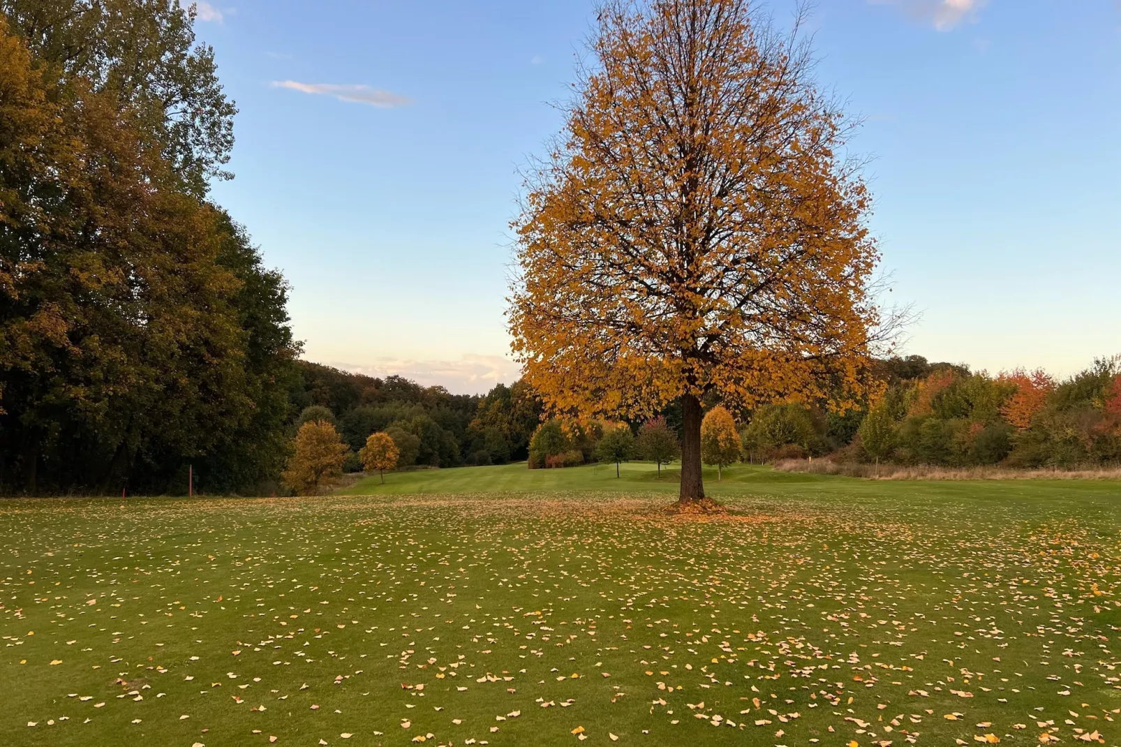 Mercure Hotel - Standard Double Room with Sofa Bed - Zones été à 5 km