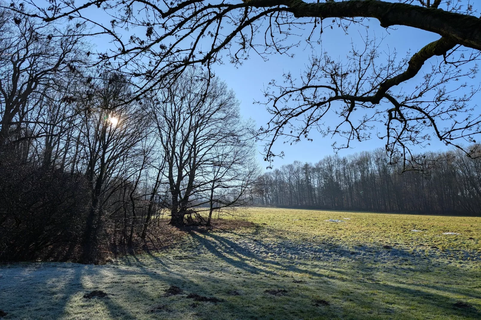 Mercure Hotel - Superior King Room - Gebiete Sommer 5 km