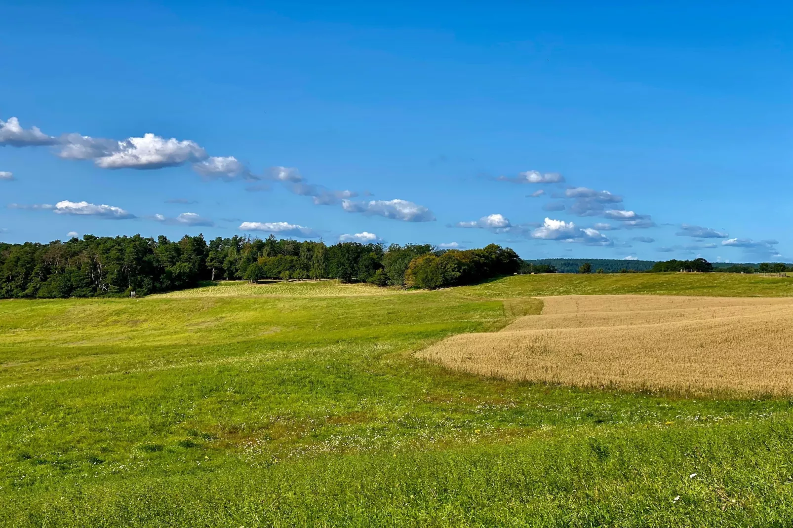 Single Room - Zones été à 5 km