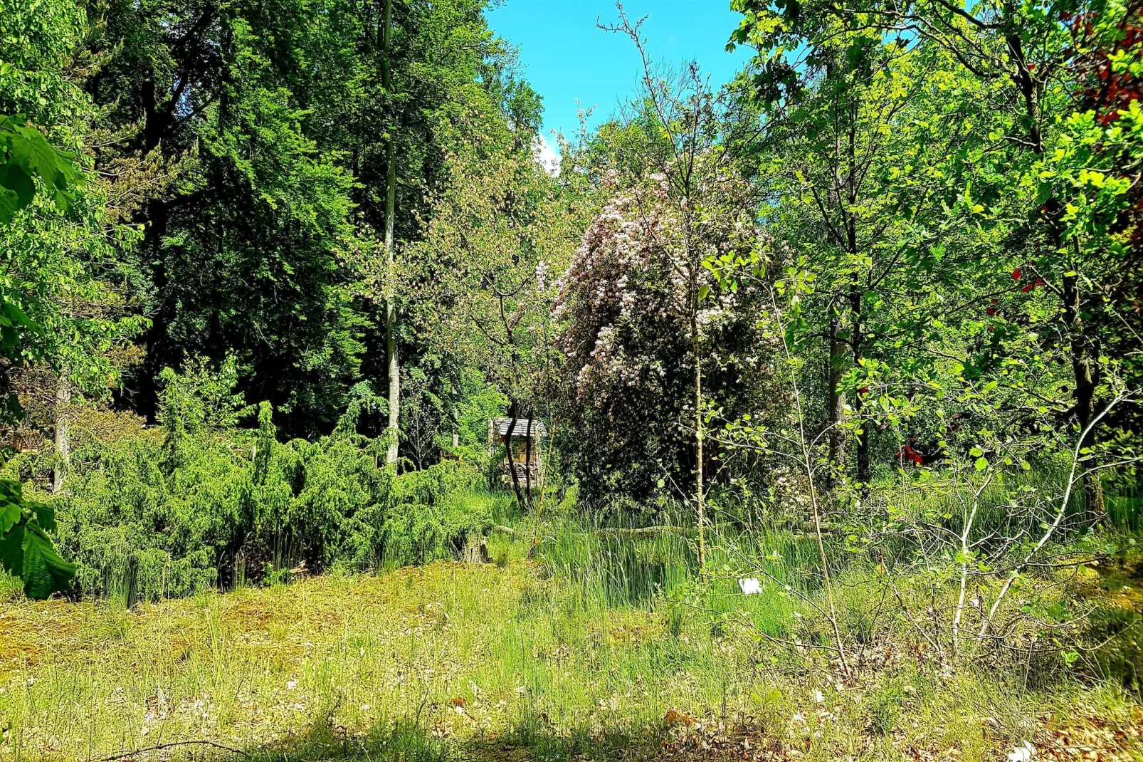 Hafendorf Junior Suite - Areas within 5km in summer