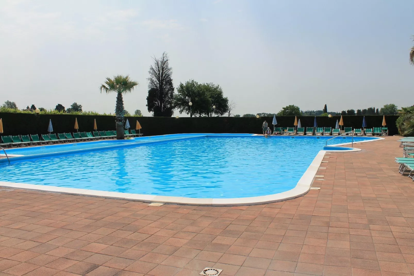 Vigneti del Garda 60