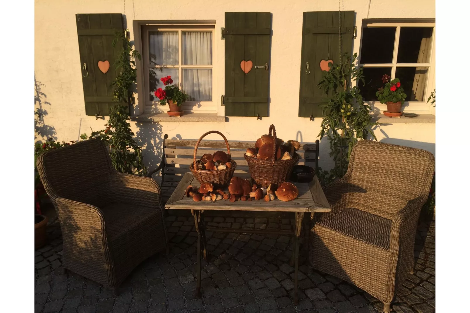 Weidhaus - Gardens in summer